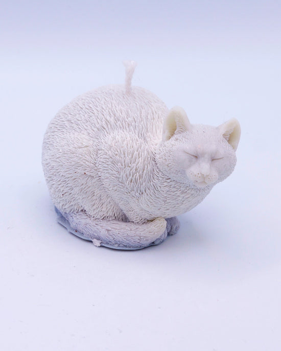 Vela gata dormida Misu