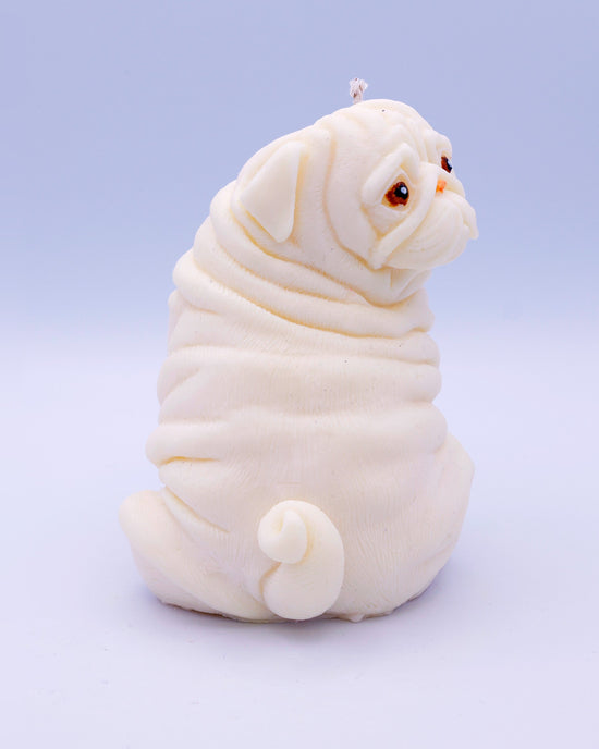Vela shar pei Otto