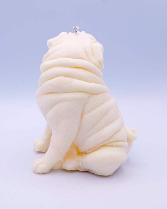 Vela shar pei Otto