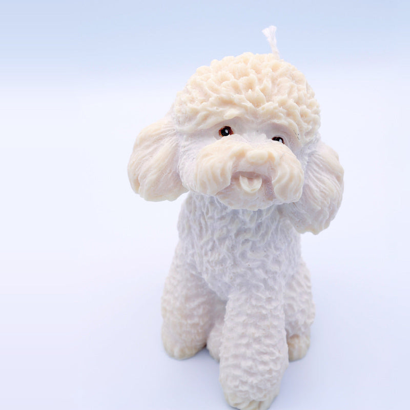 Regalos para amantes de los animales