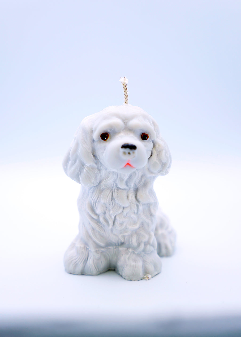 FAUNA Puppy