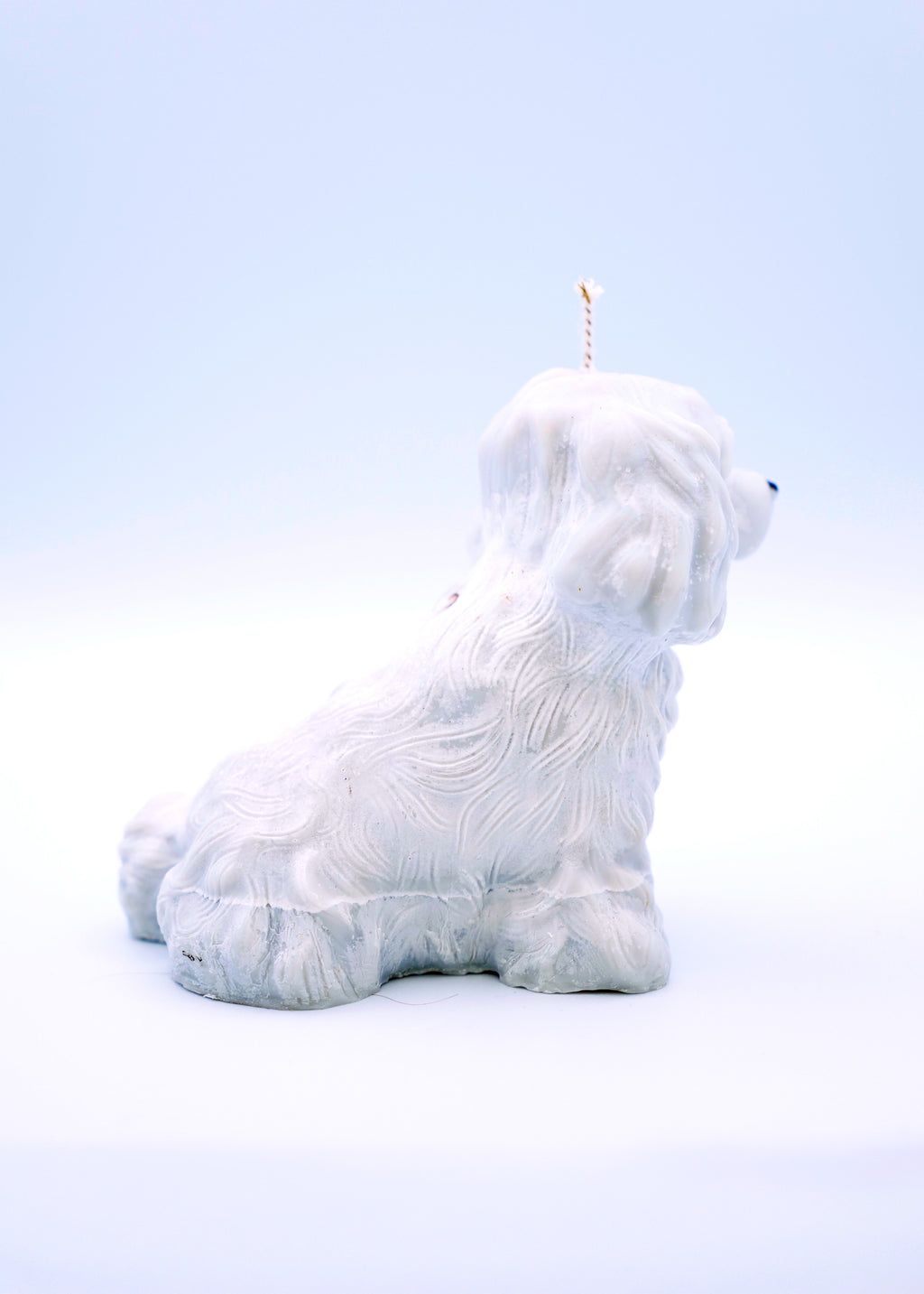 FAUNA Puppy