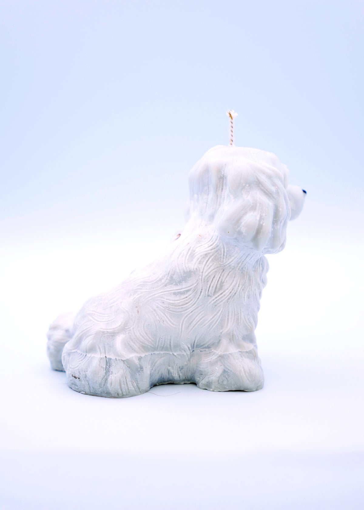 FAUNA Puppy
