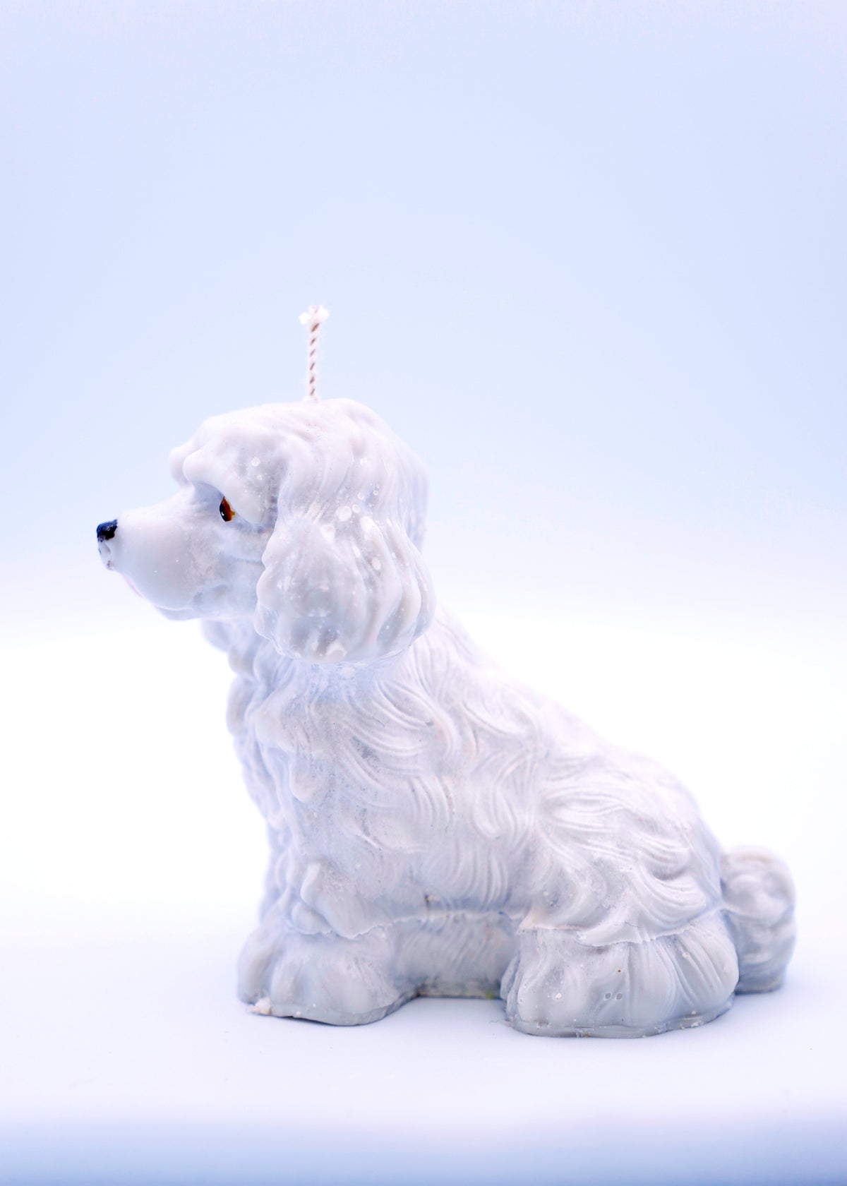 FAUNA Puppy