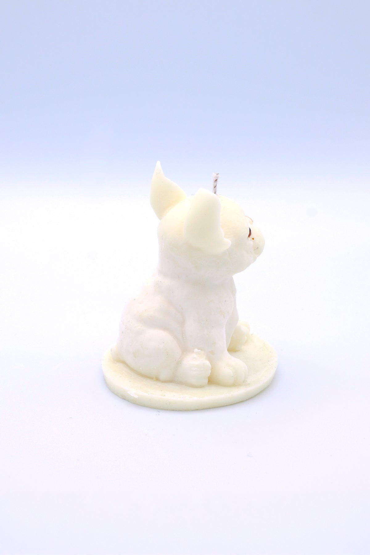 FAUNA Vela Pug Frenchie