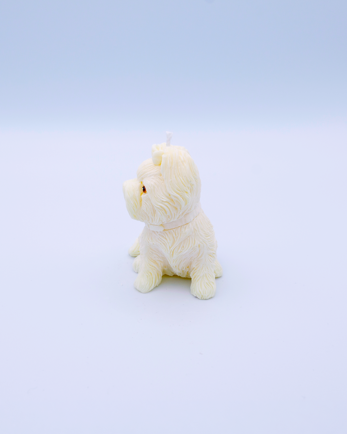 FAUNA Lola