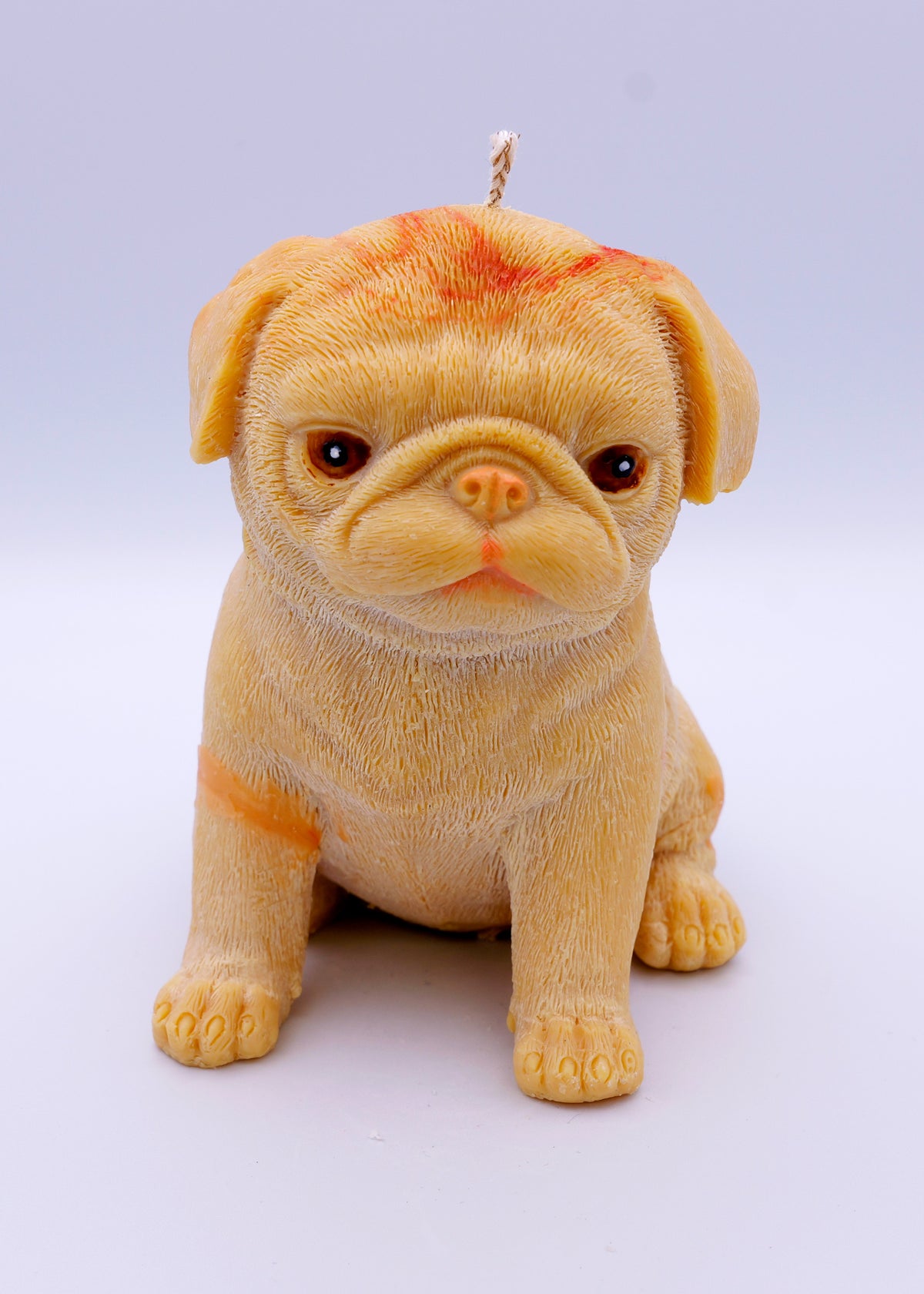 FAUNA Pug