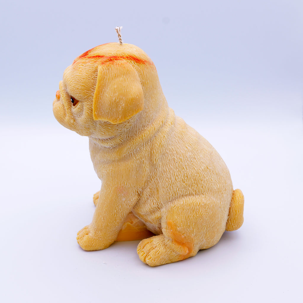 FAUNA Pug