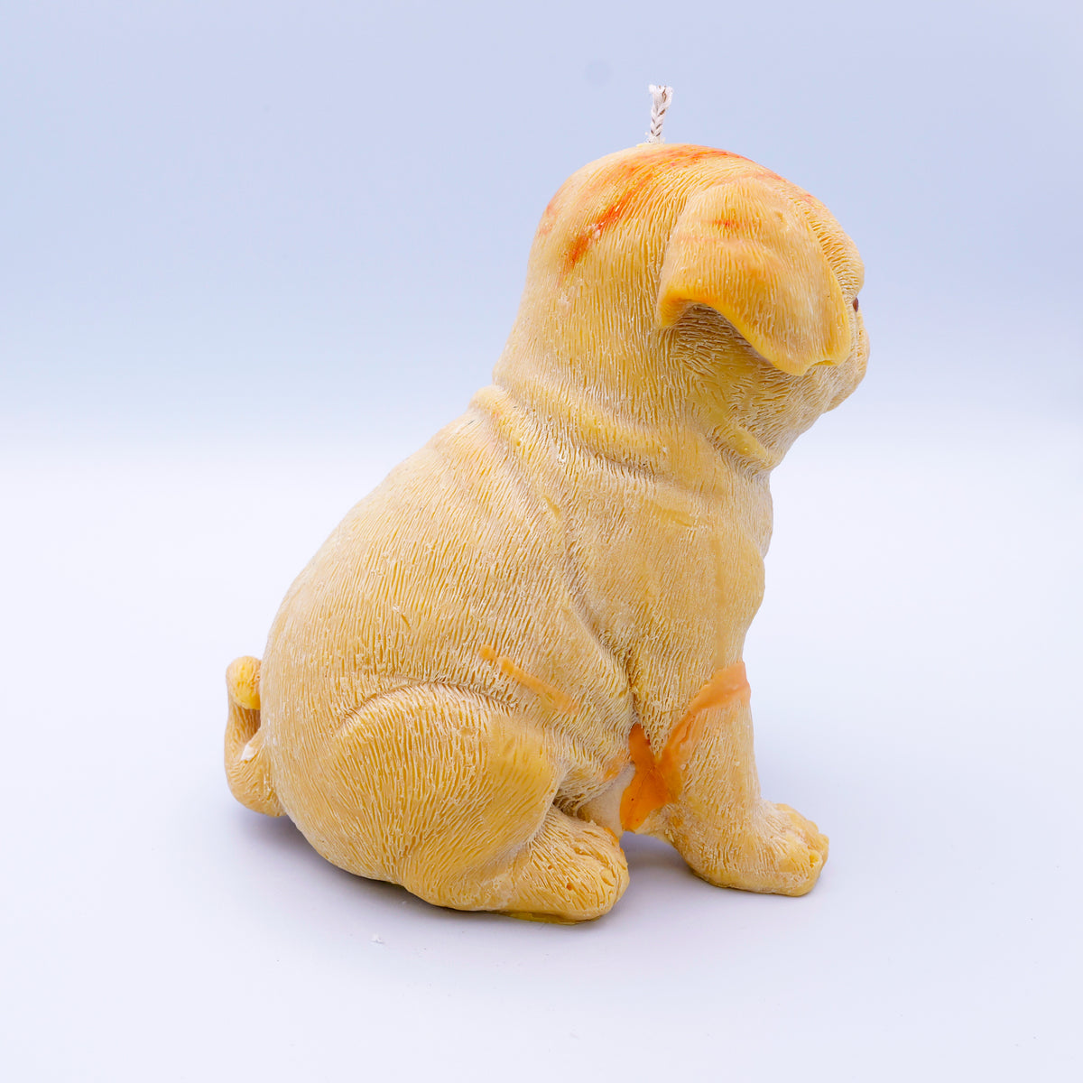 FAUNA Pug