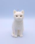 FAUNA Selene