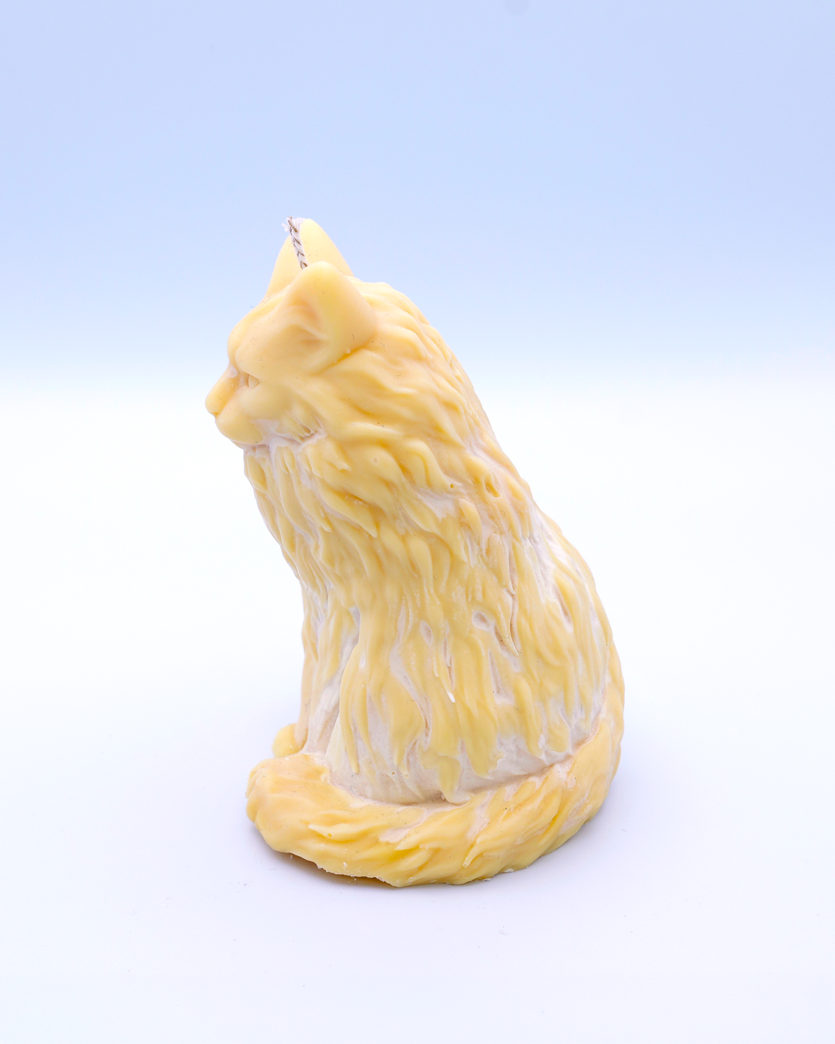 FAUNA Ámbar