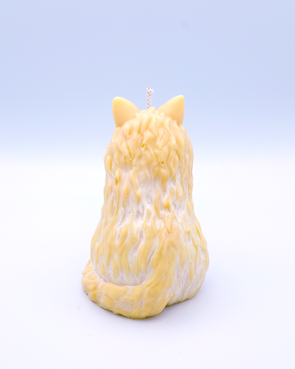 FAUNA Ámbar