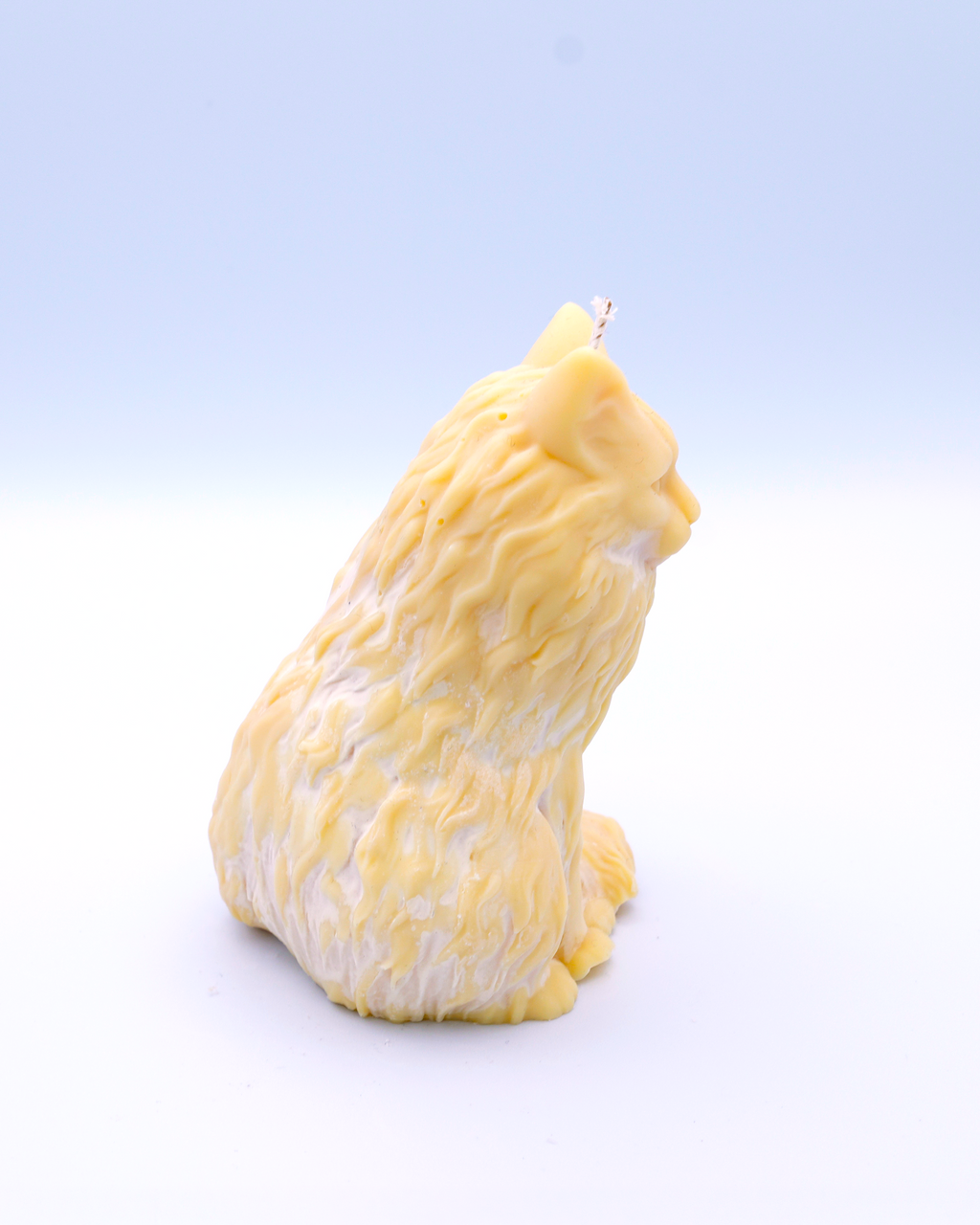FAUNA Ámbar