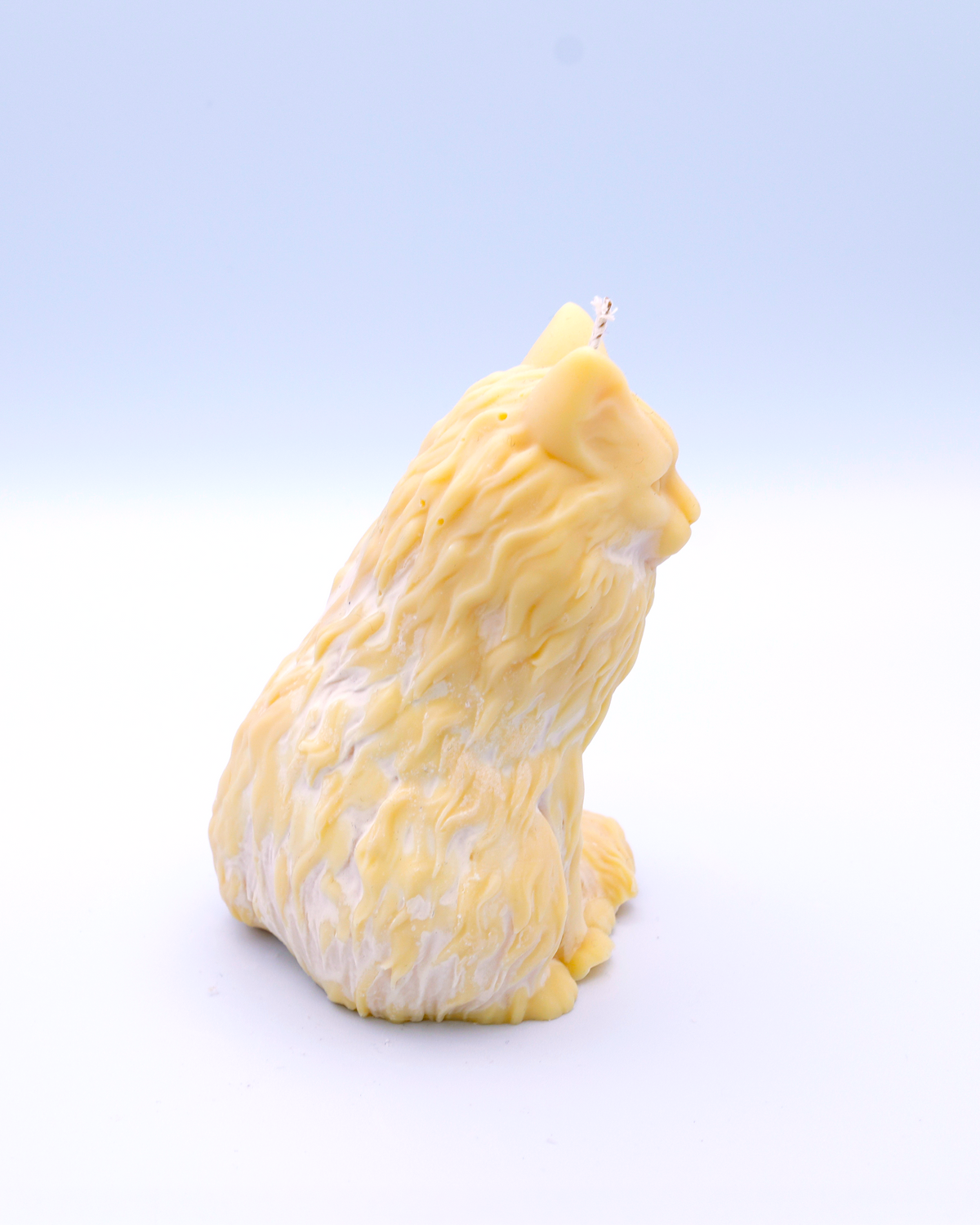 FAUNA Ámbar