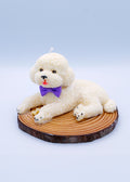 FAUNA Bichon