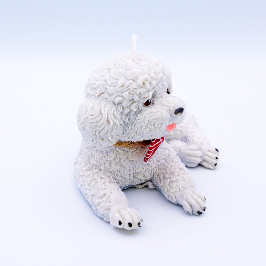 FAUNA Bichon