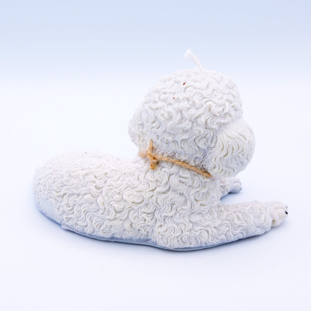 FAUNA Bichon