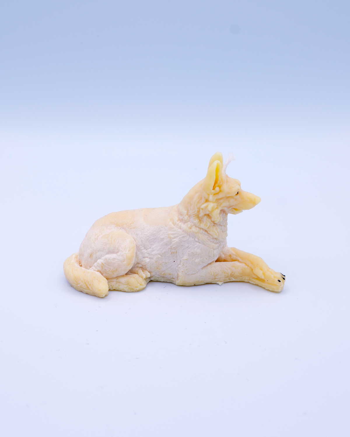 FAUNA Atlas