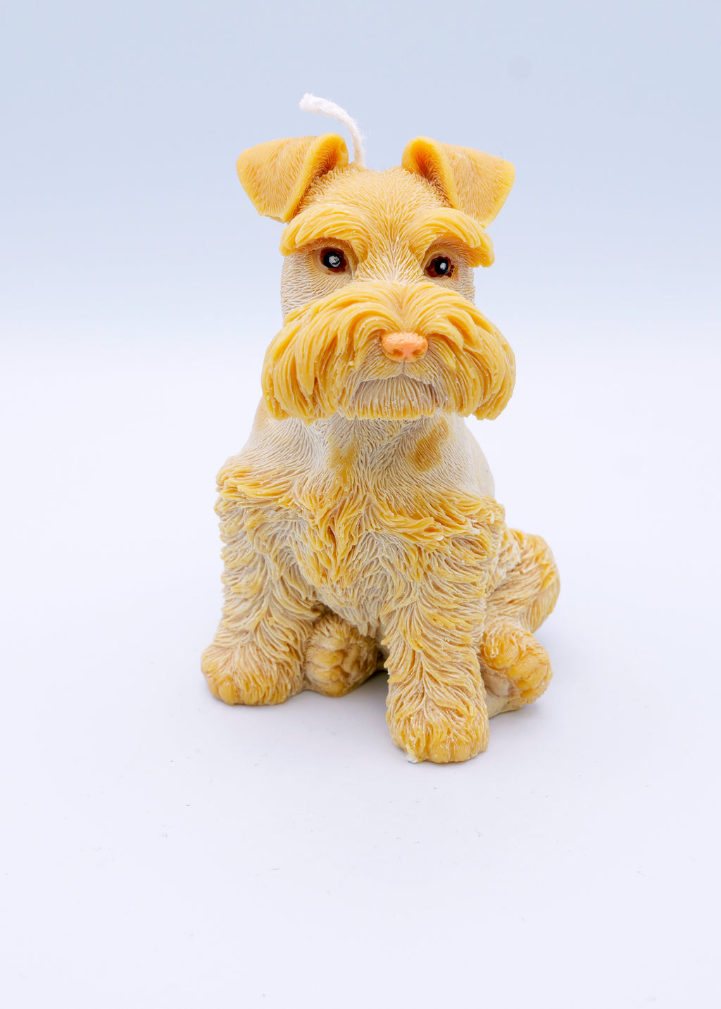 FAUNA Schnauzer