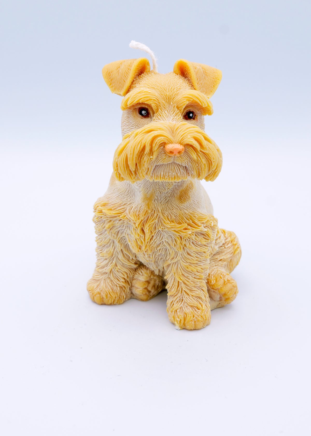FAUNA Schnauzer