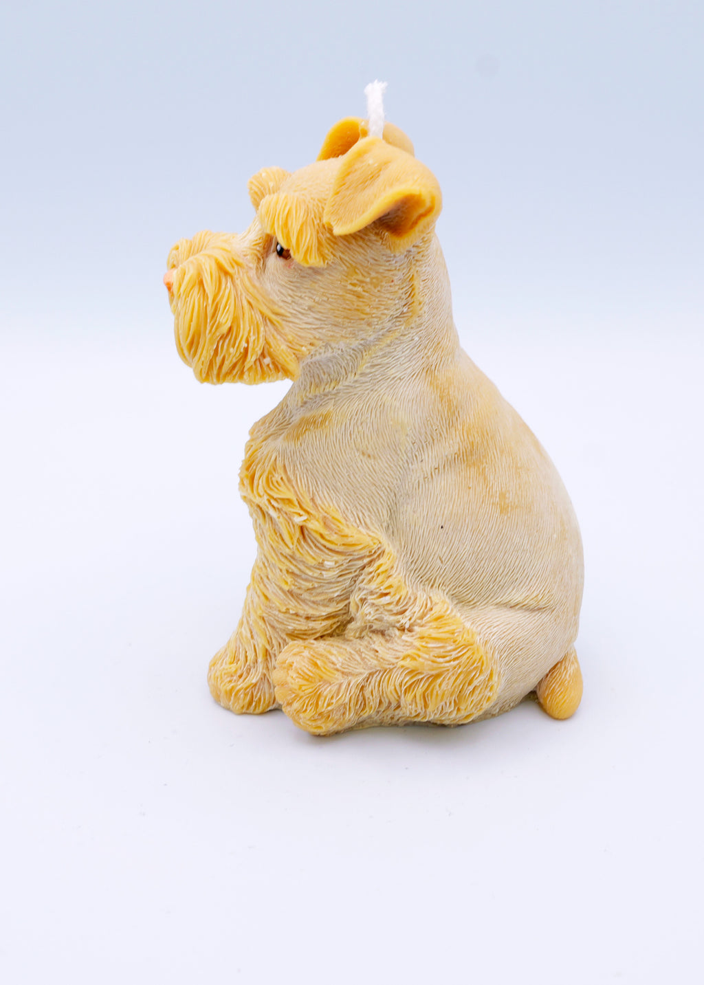 FAUNA Schnauzer