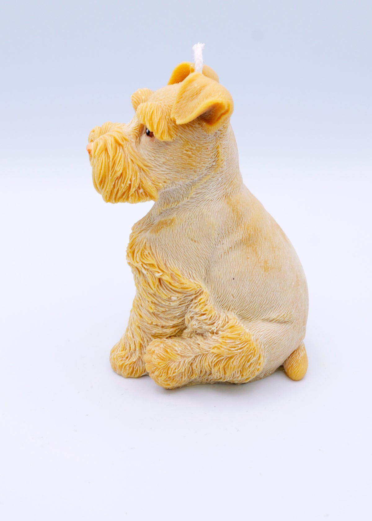 FAUNA Schnauzer