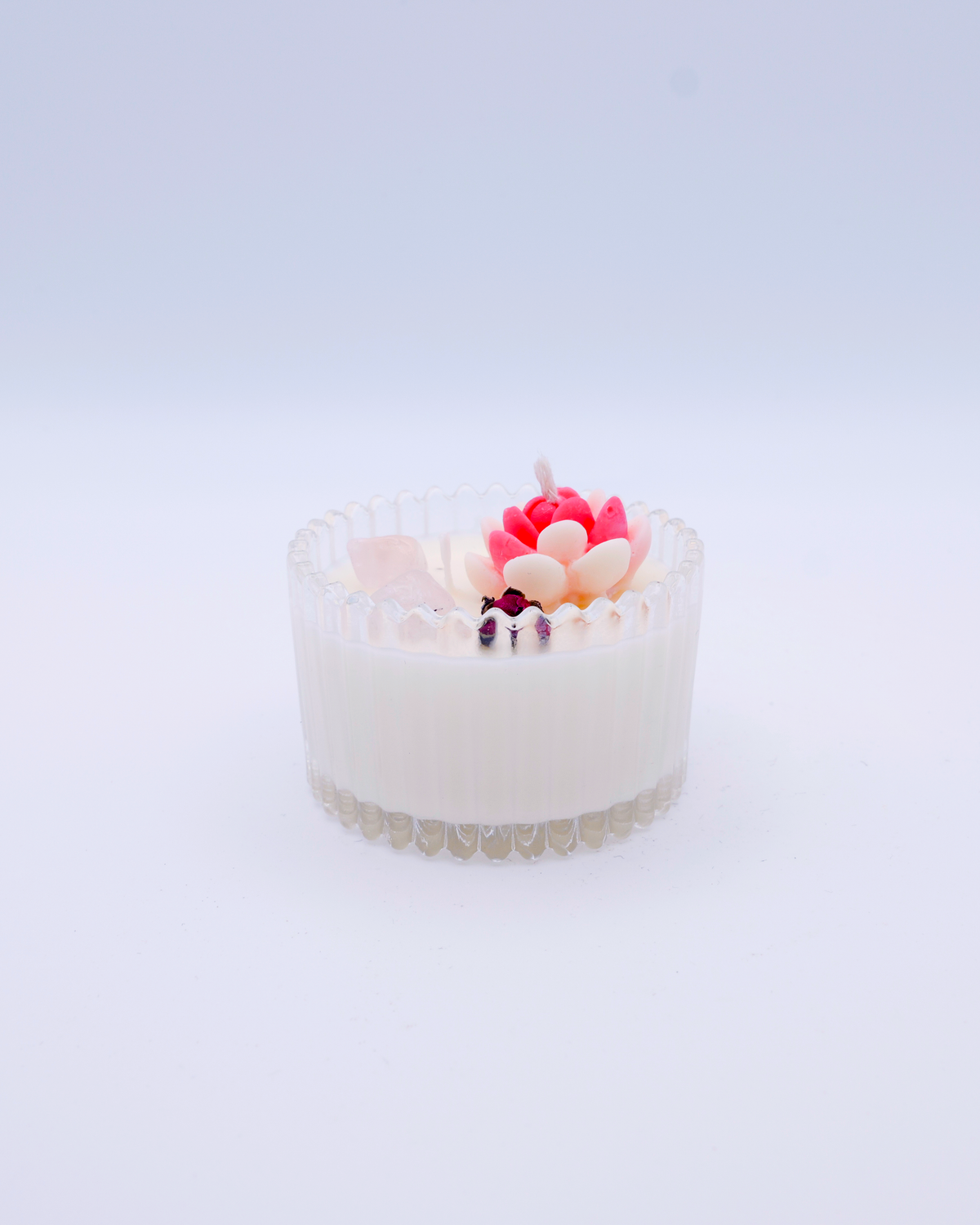 CRISTAL Jardín Mini
