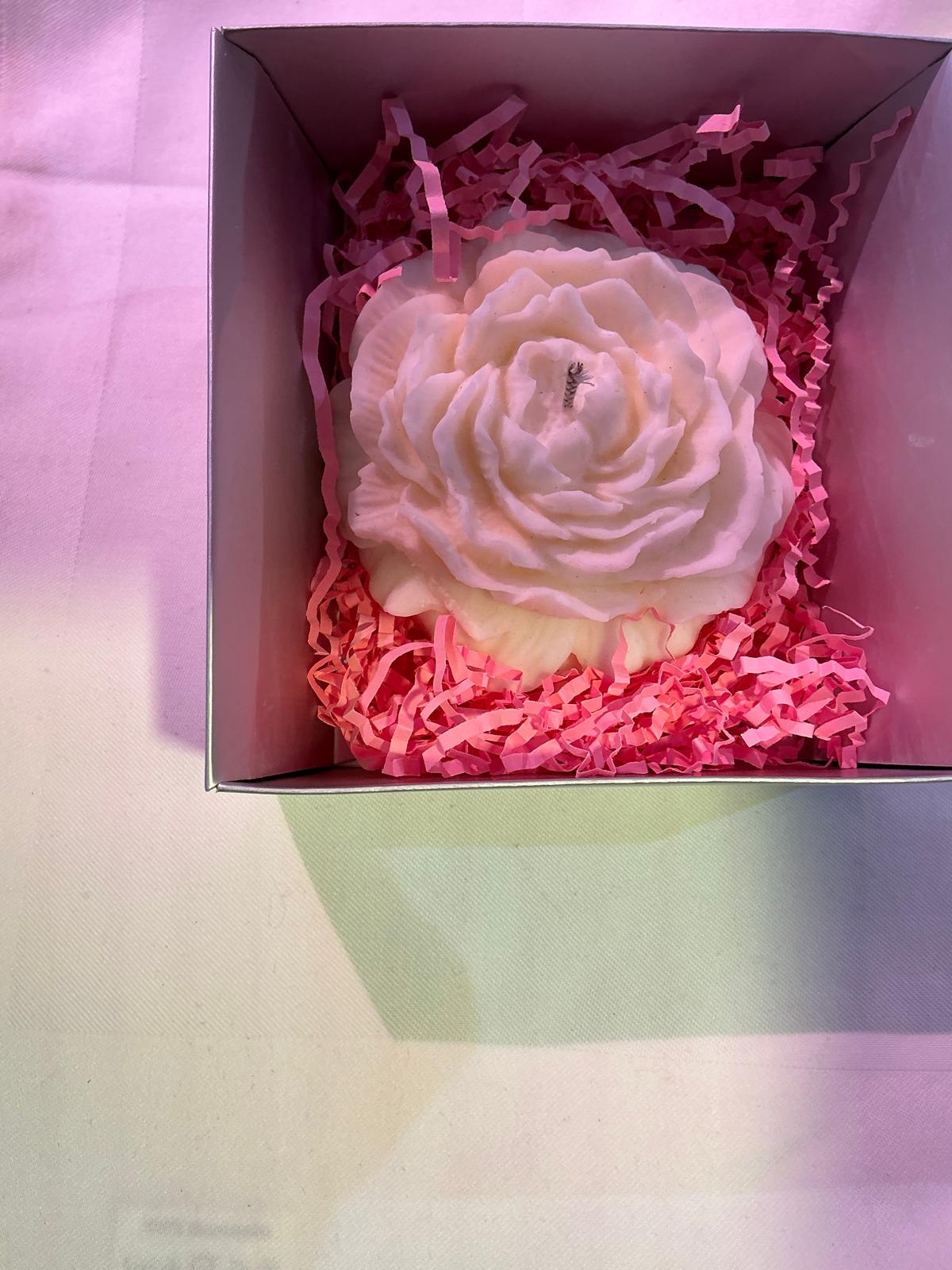 Vela rosa blanca en caja