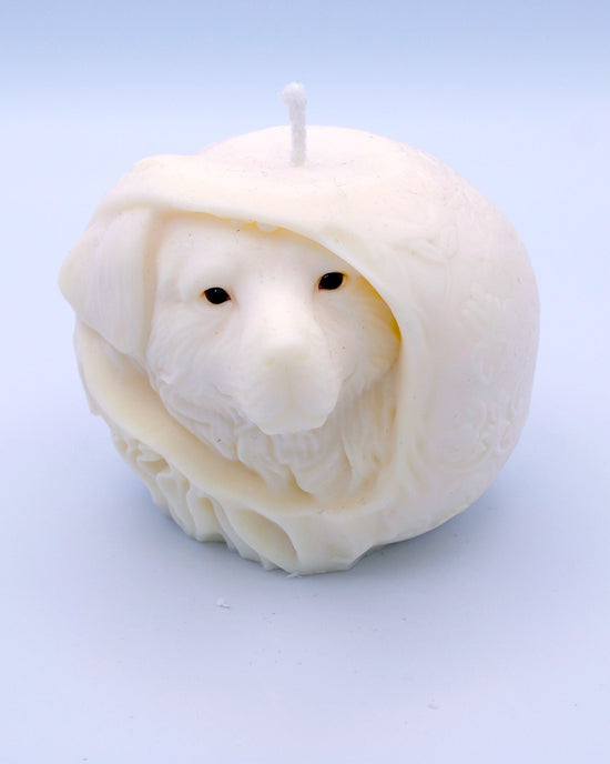 Vela cachorro y manzana Arlo