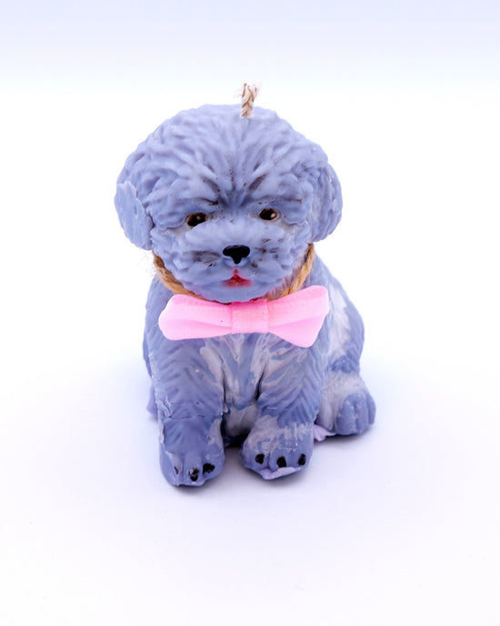 Vela perrita gris Boni