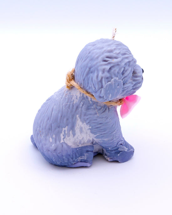 Vela perrita gris Boni