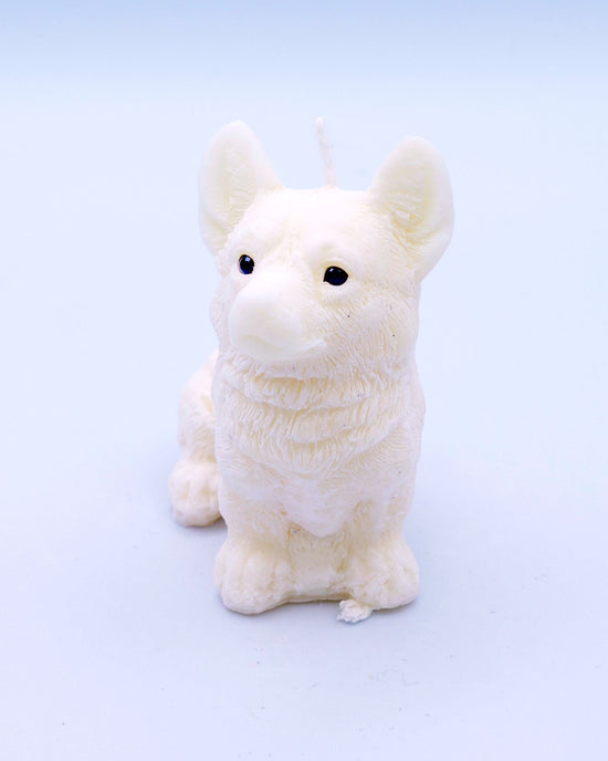 Vela corgi Milo