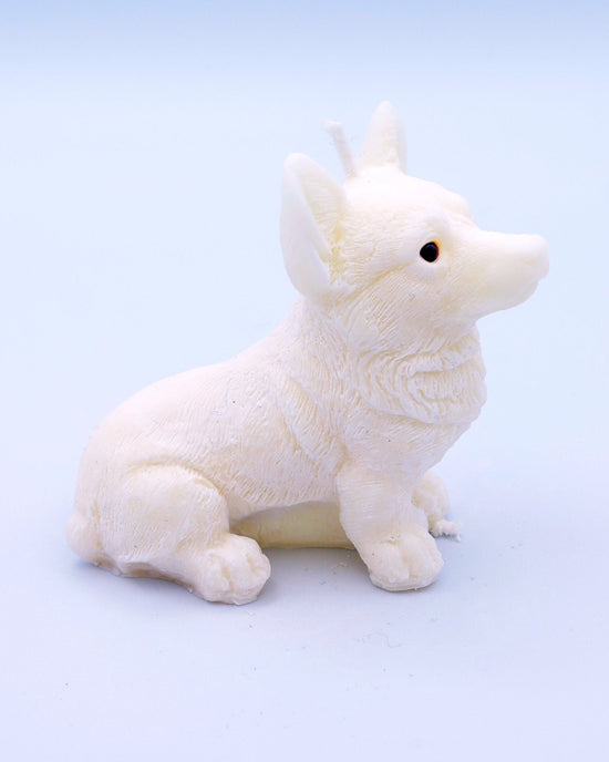 Vela corgi Milo