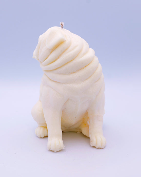Vela shar pei Otto