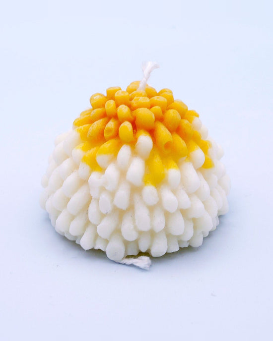 Vela erizo Puff